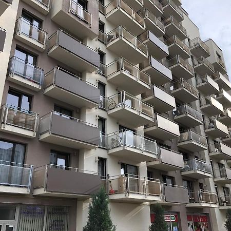 Mivardomi Accommodation Cluj-Napoca Eksteriør billede